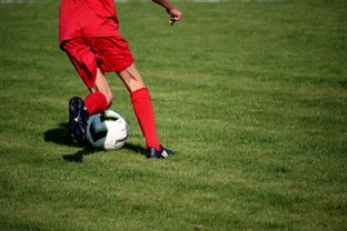 体育赛事对本地旅游消费的带动作用,体育赛事对城市旅游的促进作用